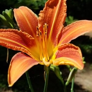 Meet your Posher, Gabby